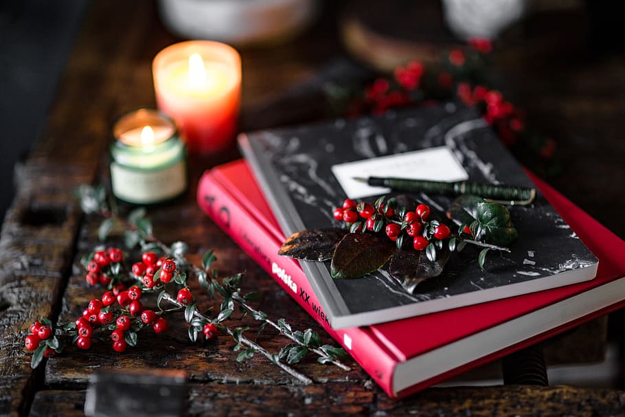 Books and Fresh Holly, workspace, desk, notebook, reading, lifestyle HD wallpaper
