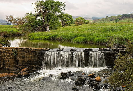 river, water, flow, stream, turbulent, tree, plant, beauty in nature HD wallpaper