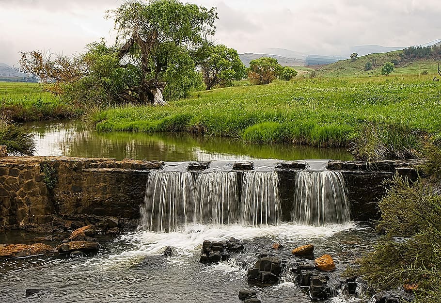 river, water, flow, stream, turbulent, tree, plant, beauty in nature HD wallpaper
