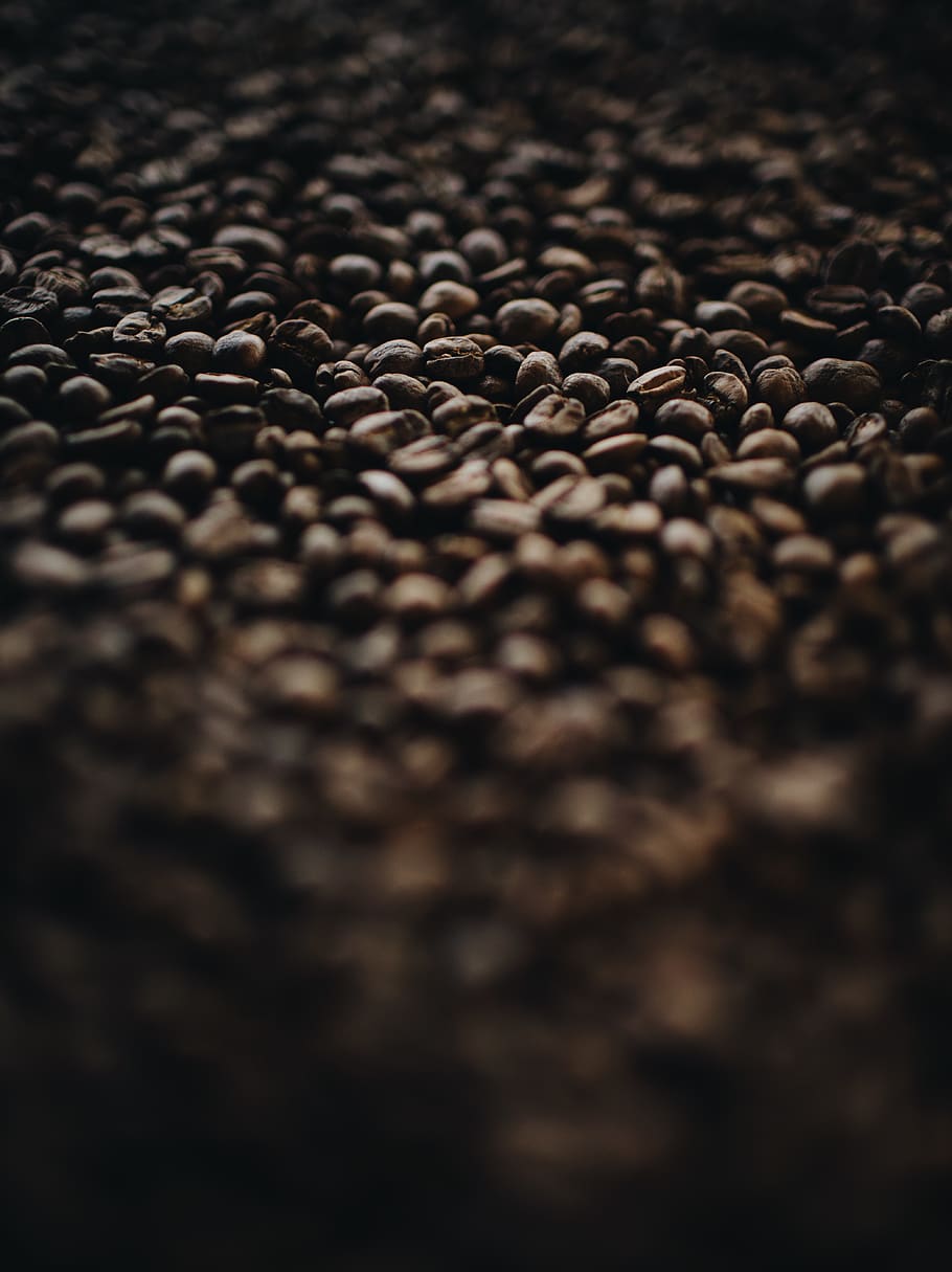 coffee beans, plant, food, produce, vegetable, lentil, rug, grain HD wallpaper