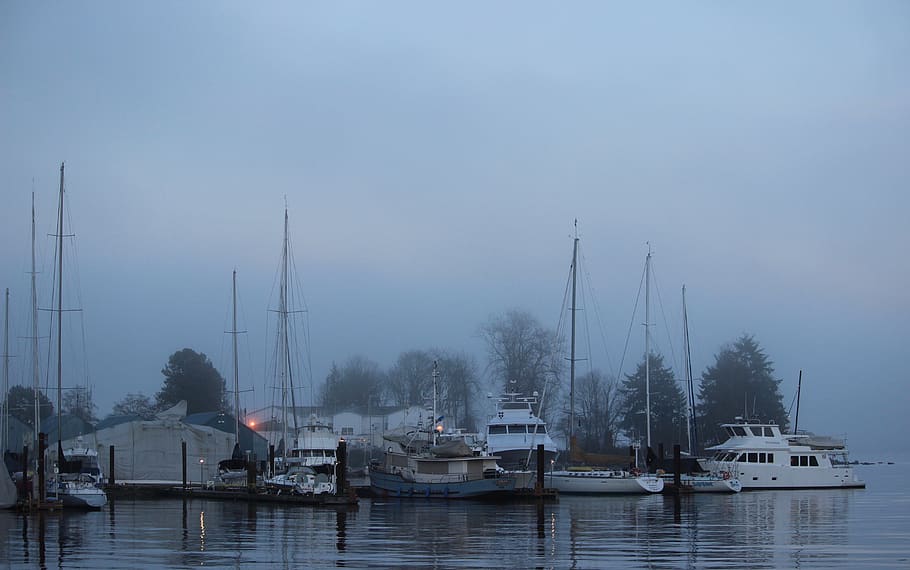canada, vancouver, boats, coal harbour, water, fog, nautical vessel