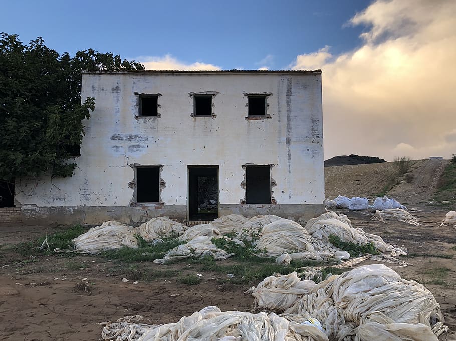 white concrete building beside tree, alhaurín de la torre, calle antonio molina HD wallpaper