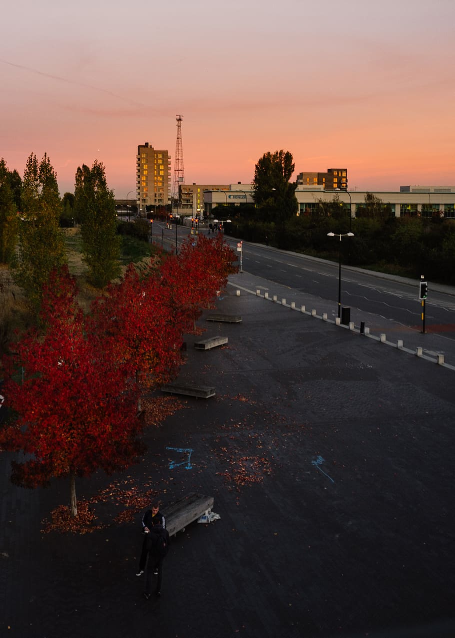 dlr, sunset, trees, people, talking, drinking, autumn, sky HD wallpaper