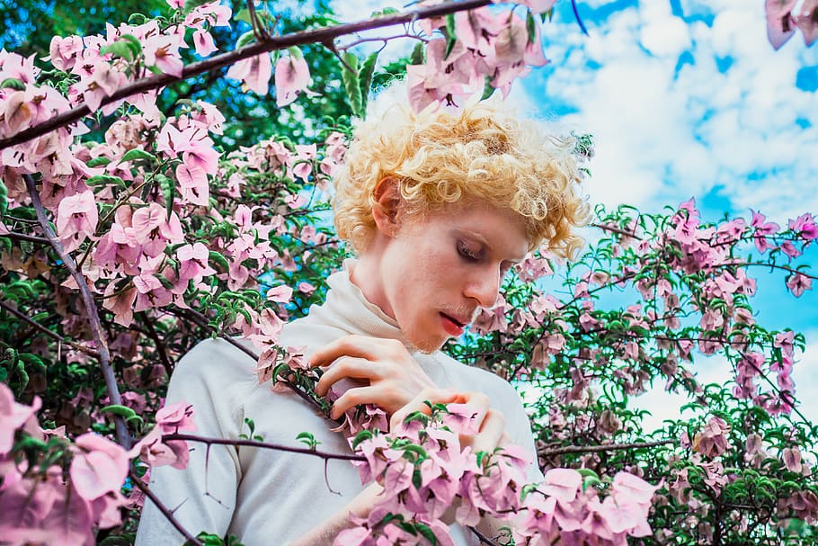 Man Holding Flowers, blond, blonde, bloom, blossom, bougainvillea HD wallpaper
