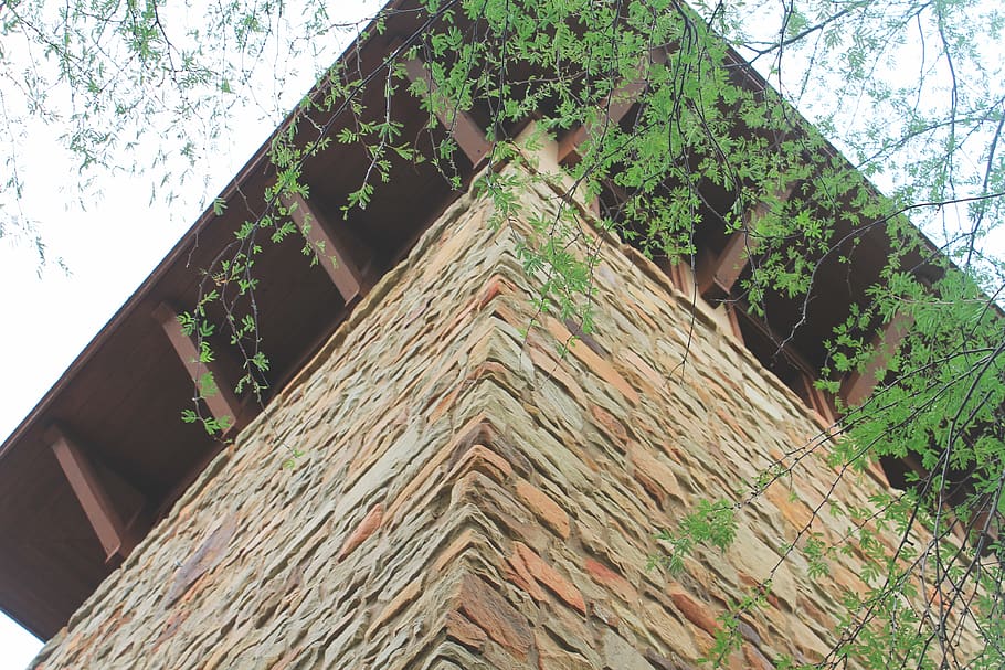 tower, low angle view, built structure, architecture, plant HD wallpaper