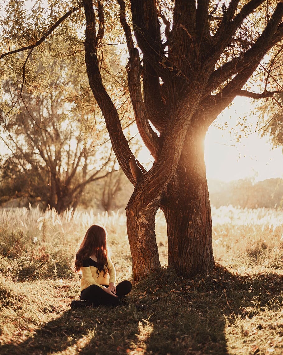 plant, tree, human, person, tree trunk, animal, mammal, wildlife HD wallpaper