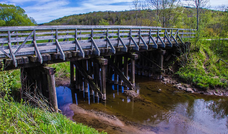 canada, mabou, stream, brook, water, summer, creek, vintage HD wallpaper