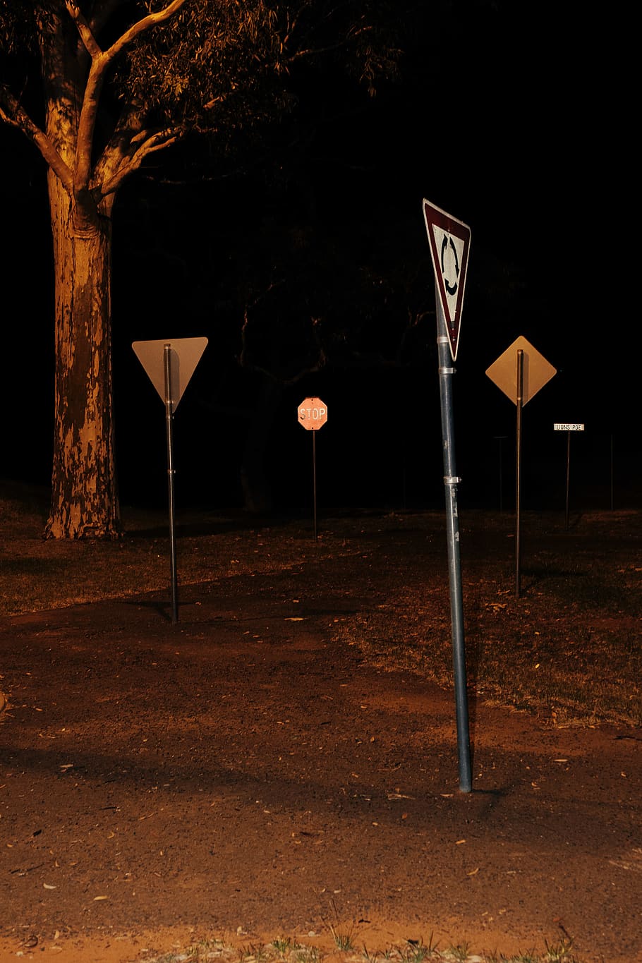 gray roadway post, outdoors, light, lamp post, tree, flare, sign HD wallpaper