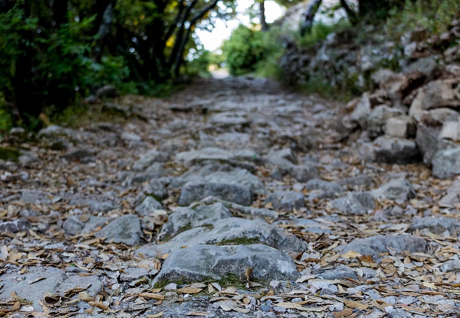 path, trees, forest, rocks, no people, nature, day, solid, the way forward HD wallpaper