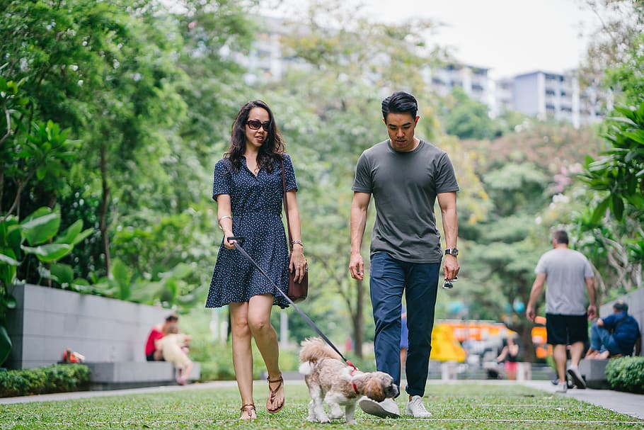Man in Gray Crew-neck T-shirt Walking Beside Woman in Black V-neck Dress HD wallpaper