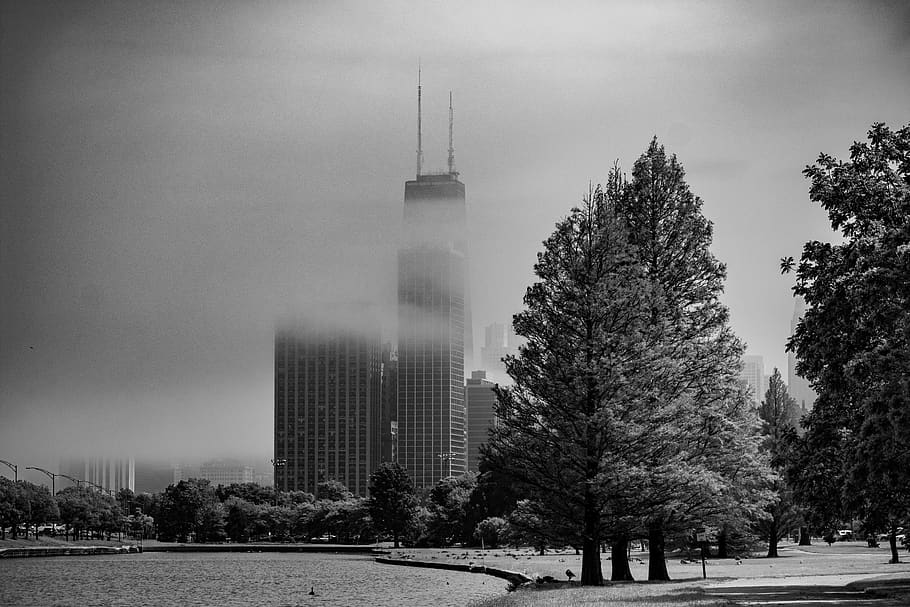building covered in fog, john hancock center, city, nature, tree