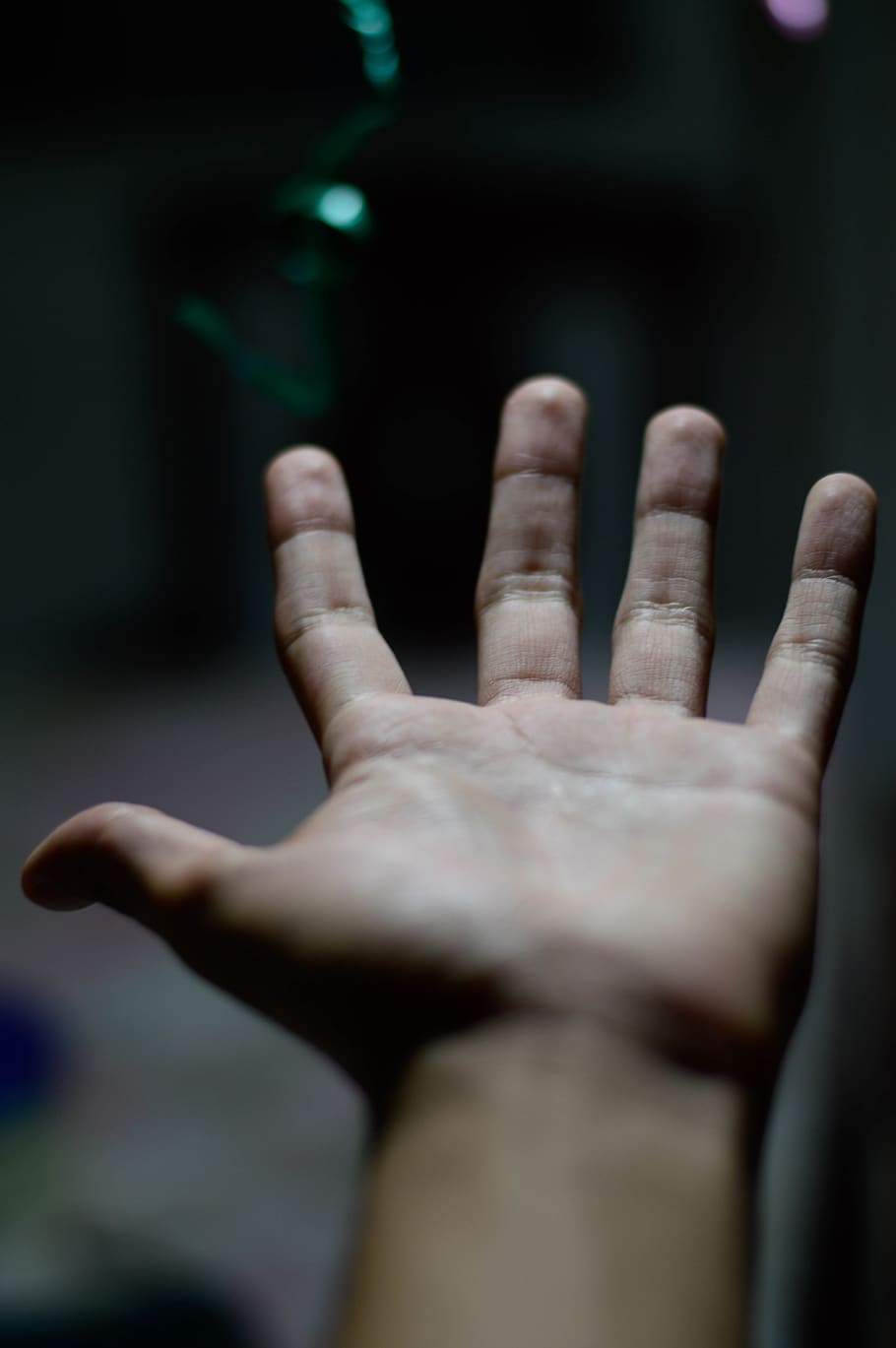 human body part, human hand, gesturing, finger, selective focus HD wallpaper