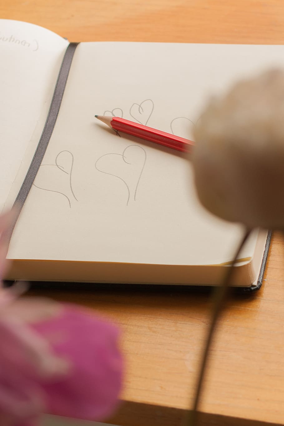 write, love, letter, summer, flower, summercottage, life, nature HD wallpaper