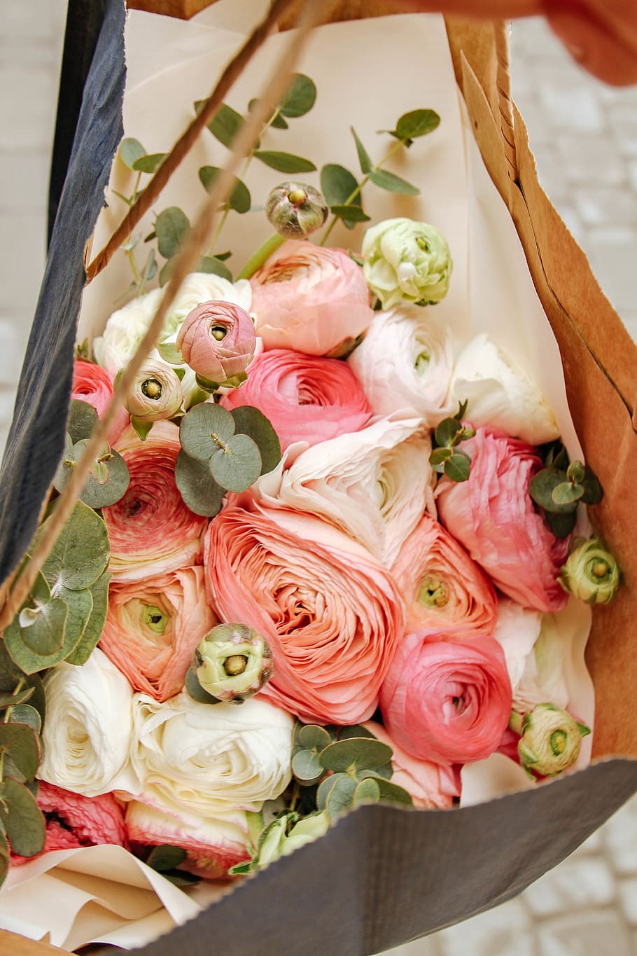 pink and white roses, plant, blossom, flower, flower bouquet HD wallpaper
