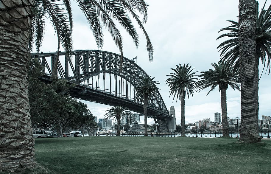 australia, sydney, sydney harbour bridge, cityscape, travel, HD wallpaper