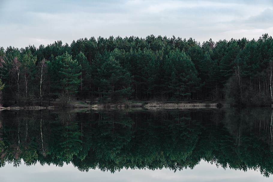 trees, lake, forest, nature, germany, travel, woods, water HD wallpaper