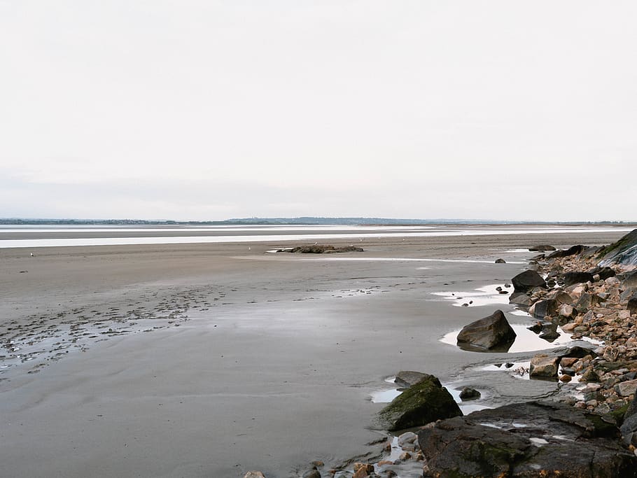 Beach During Low Tide, ocean, rocks, sea, seashore, land, water HD wallpaper