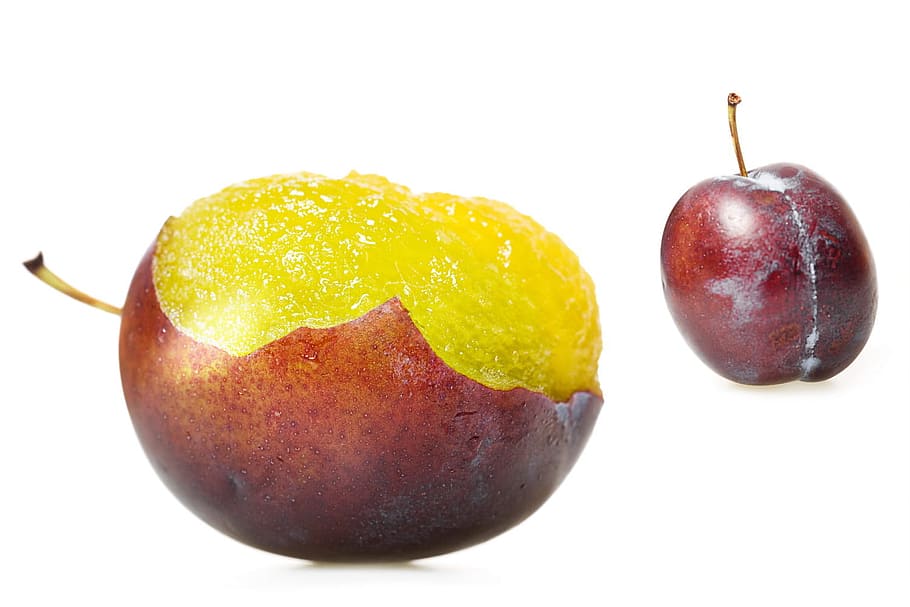 fresh, plum, bite, closeup, fruit, isolated, object, plant HD wallpaper
