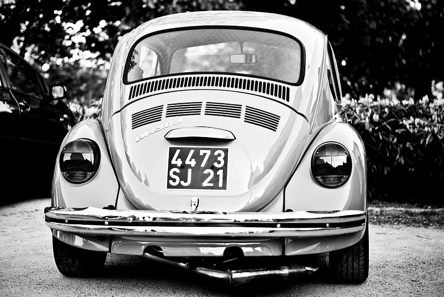 Volkswagen Beetle, car, automobile, vehicle, france, dijon, bumper HD wallpaper