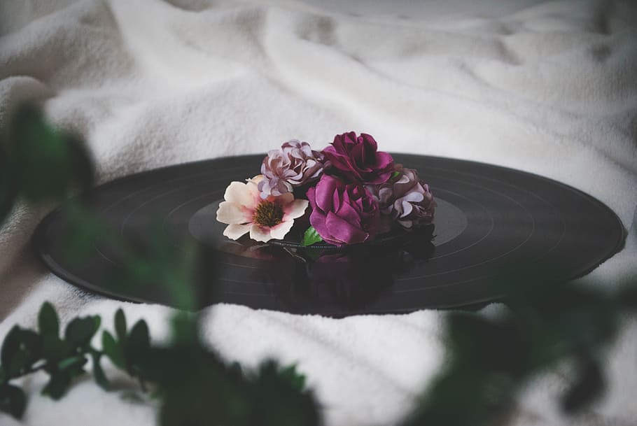 Selective Focus Photography of Flowers On Top of  Vinyl Record, HD wallpaper