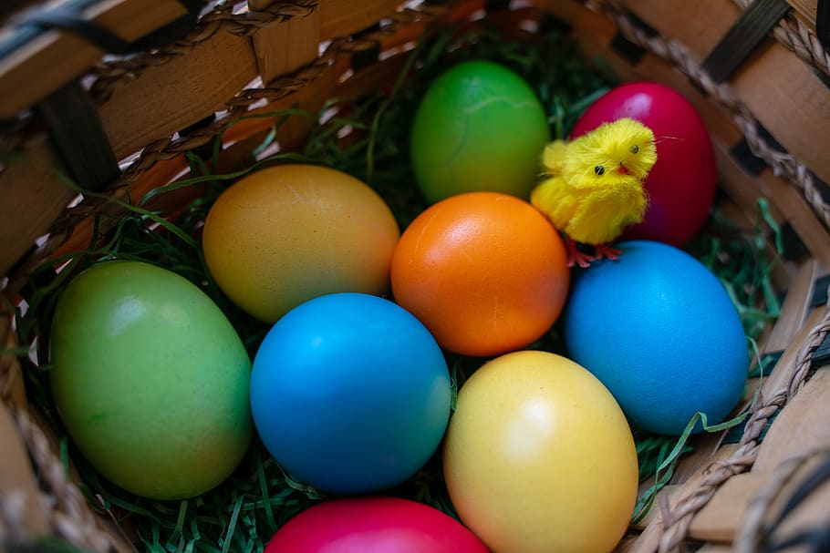 easter eggs, osterkorb, easter nest, spring, colored, basket HD wallpaper