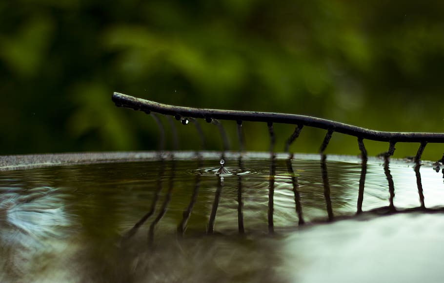drop, water, sync, reflection, green, selective focus, nature HD wallpaper
