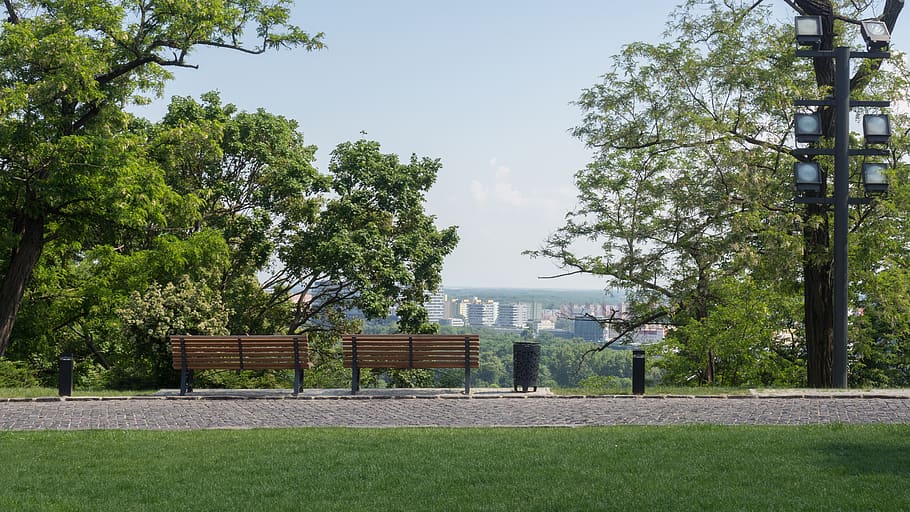 slovakia, bratislava, plant, tree, built structure, architecture HD wallpaper