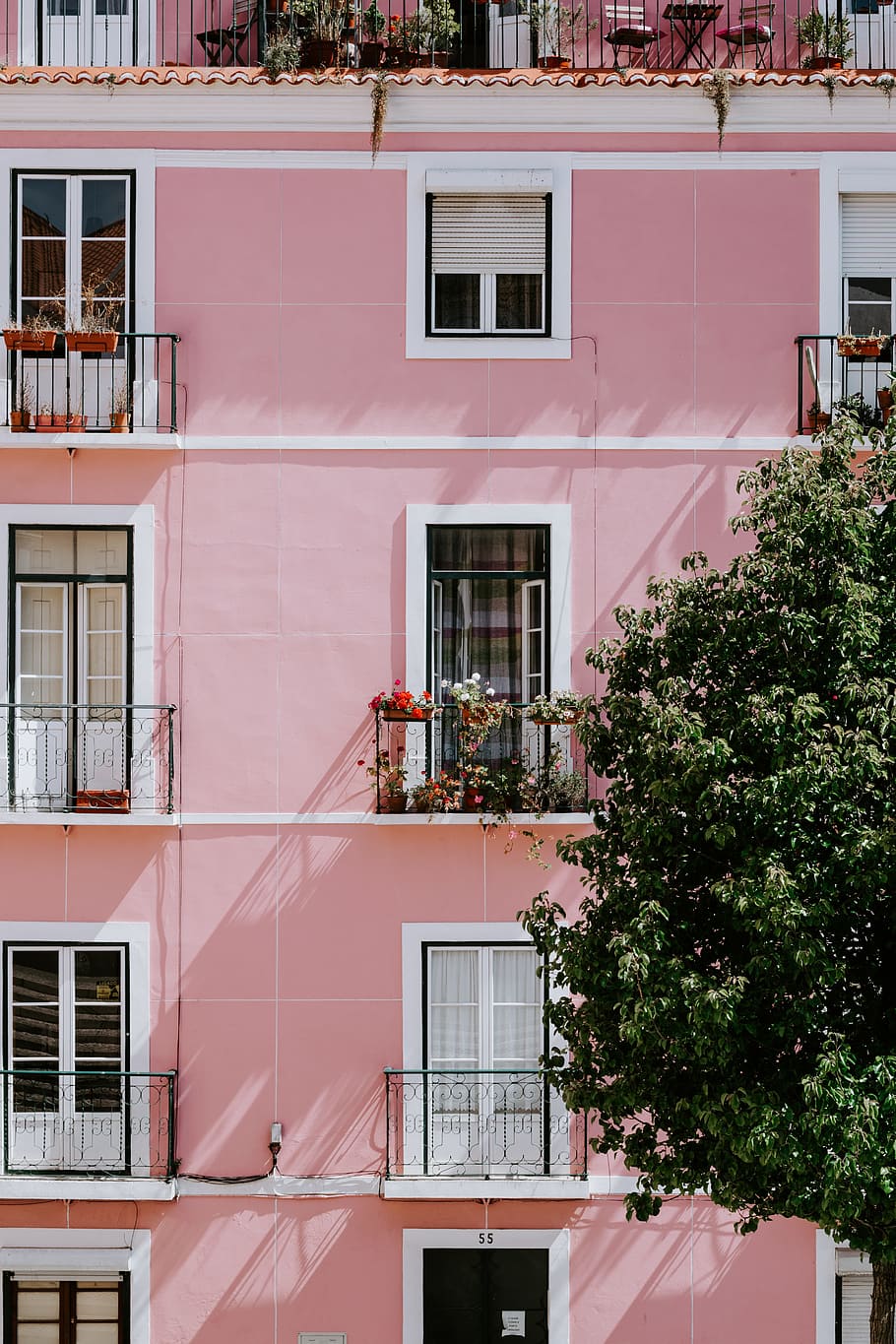pink concrete commercial building near green tree, facade, exteior HD wallpaper