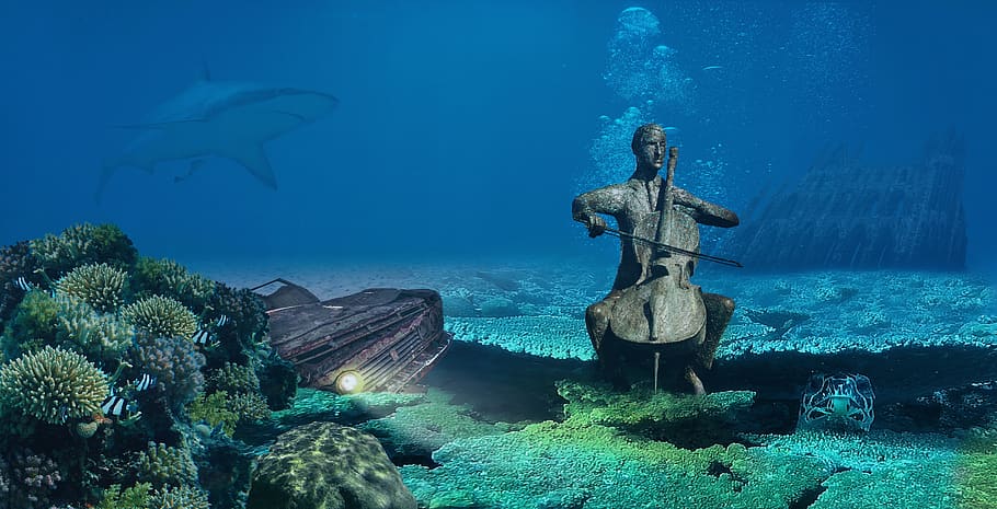 fantasy, underwater, auto, scrap, turtle, sculpture, hai, coral HD wallpaper