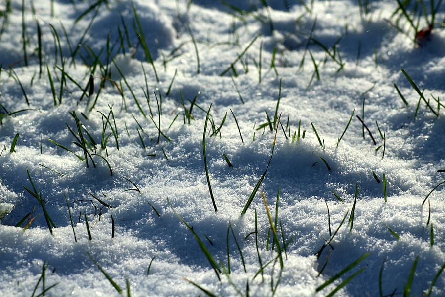 winter, snow, cold, nature, figure, january, landscape, snowy HD wallpaper
