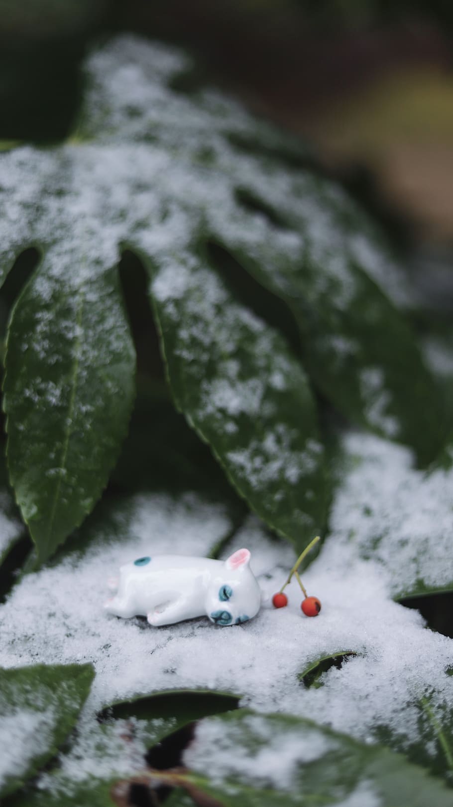 totoro, winter, snow, no people, close-up, selective focus HD wallpaper