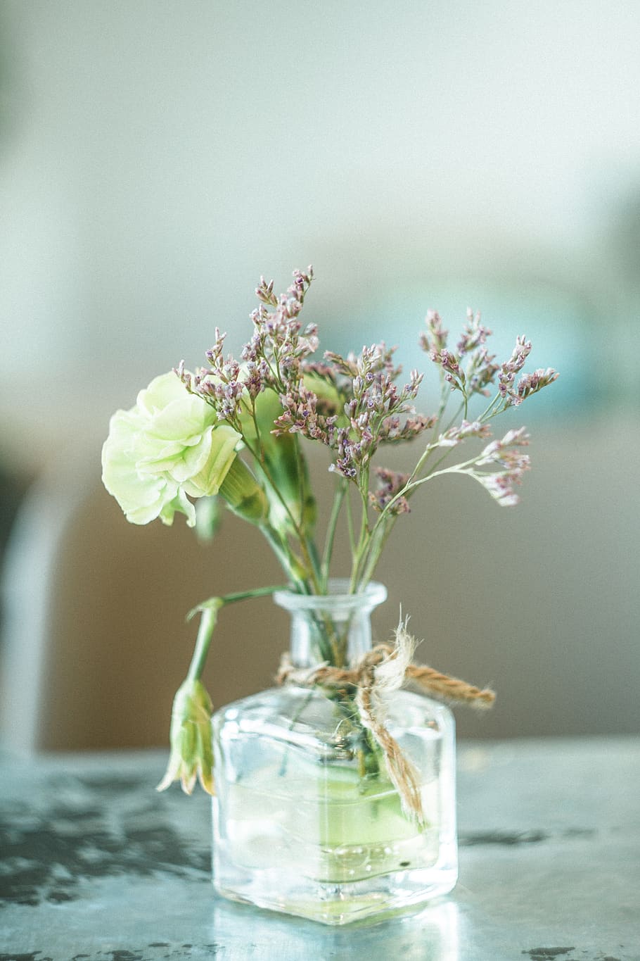 Green and Purple Petaled Flowers in Clear Glass Vase, background HD wallpaper