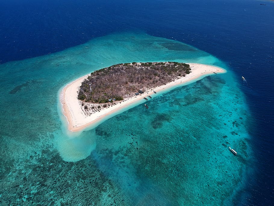 island, beach, sea, water, turquoise colored, underwater, sea life HD wallpaper