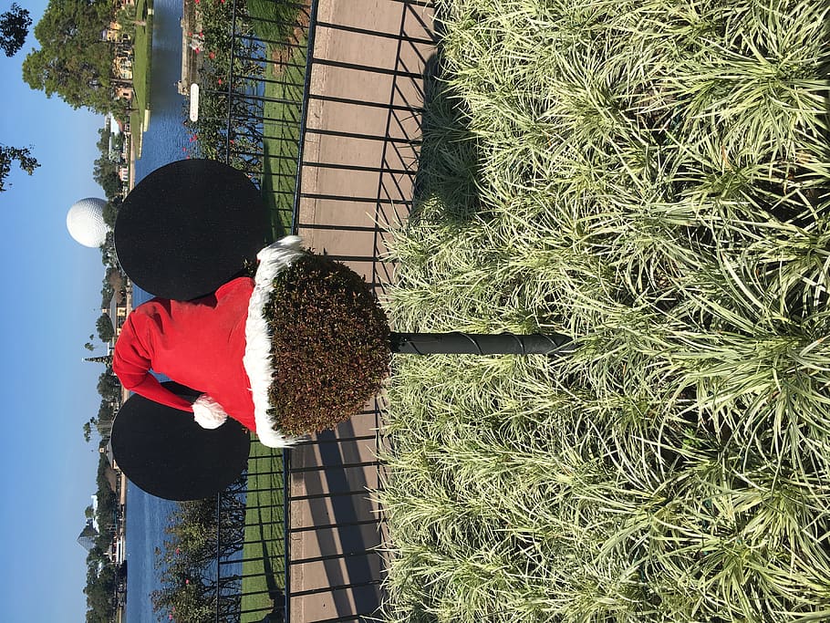 disney, epcot, holiday, santa, plant, real people, one person HD wallpaper