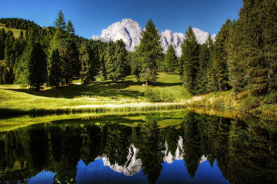 reflection, jungle, forest, water, flow, lake, river, dolmites HD wallpaper
