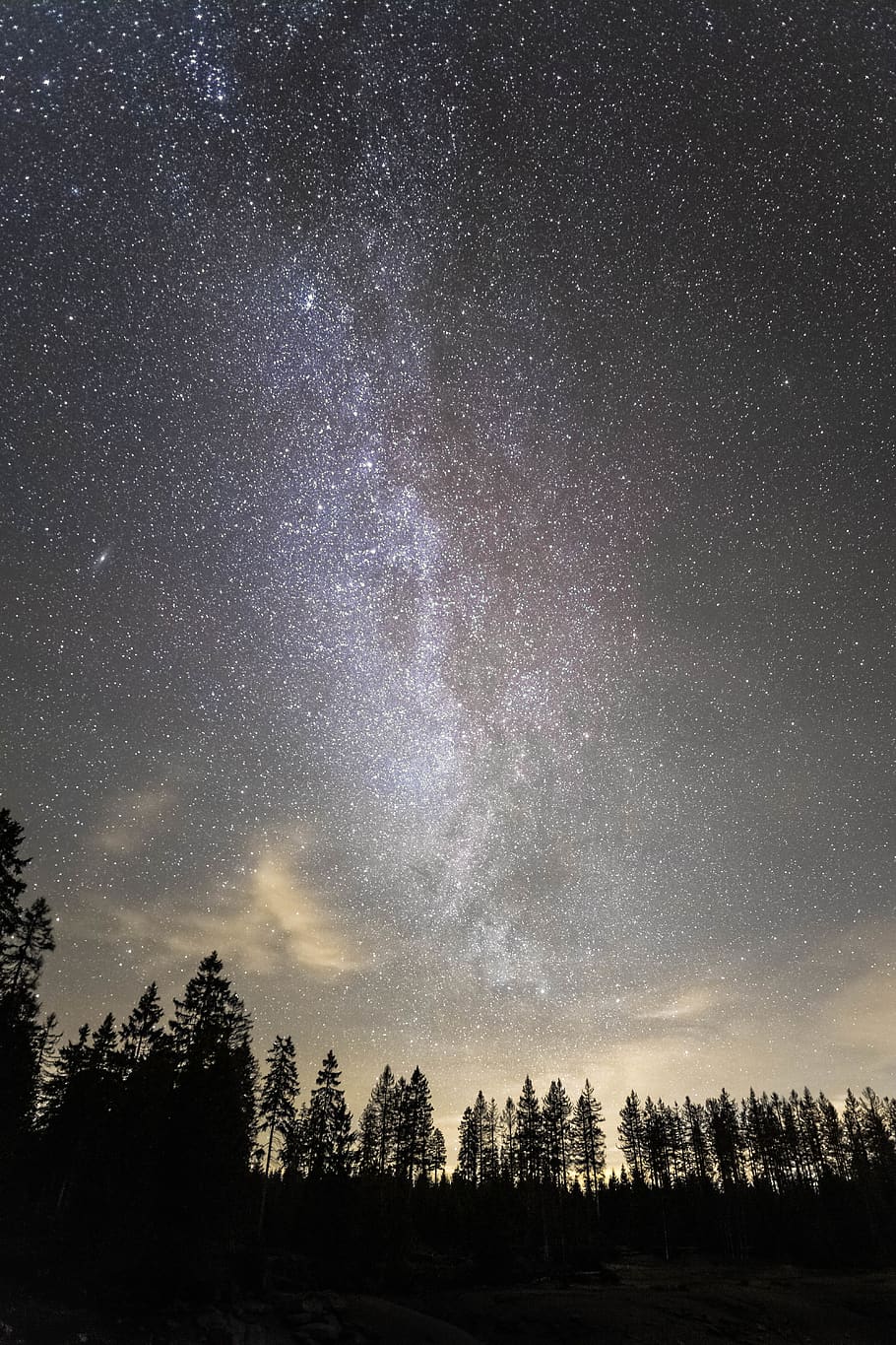 Silhouette of Trees Under Starry Sky, astronomy, constellations HD wallpaper