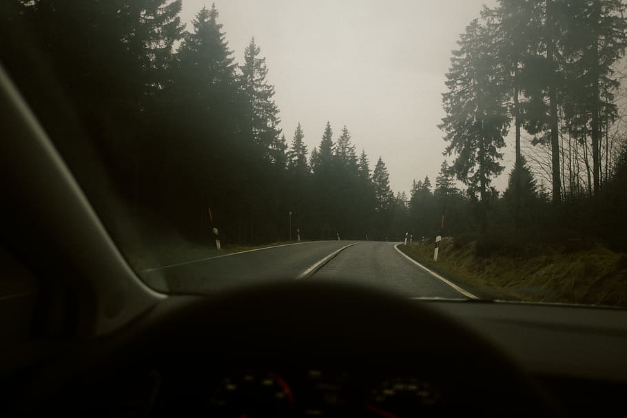 germany, harz, forest, fuji, car, trees, winter, street, roam HD wallpaper