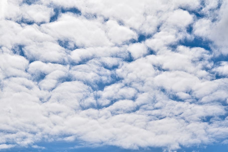 clouds, white clouds, cumulus, altocumlus, cloud myriad water droplets HD wallpaper