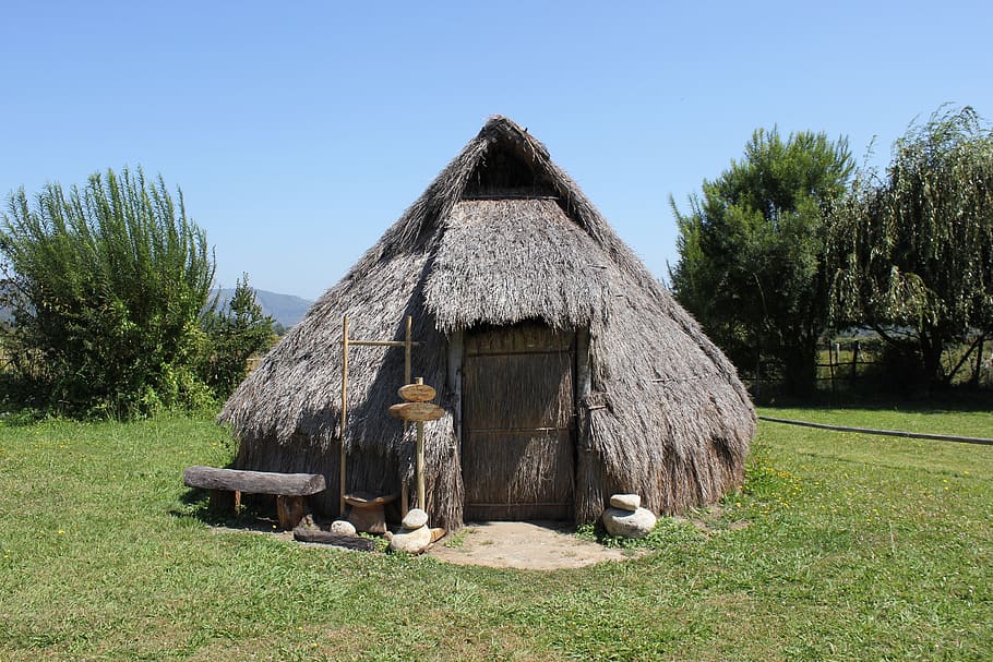 mapuche, ruca, contulmo, heritage, culture, plant, tree, architecture HD wallpaper
