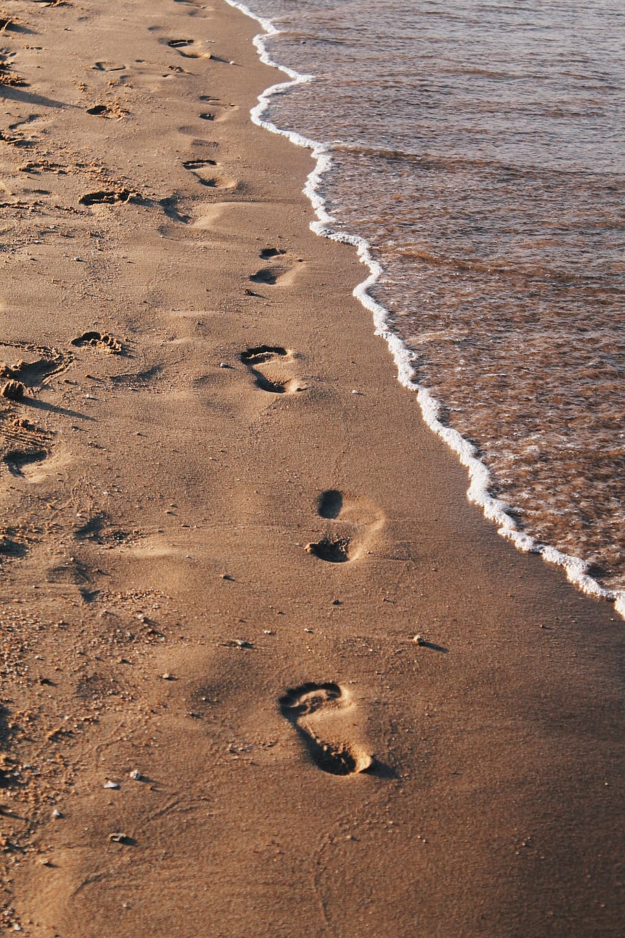 sea, beach, sand, tracks, egypt, red sea, land, footprint, nature HD wallpaper