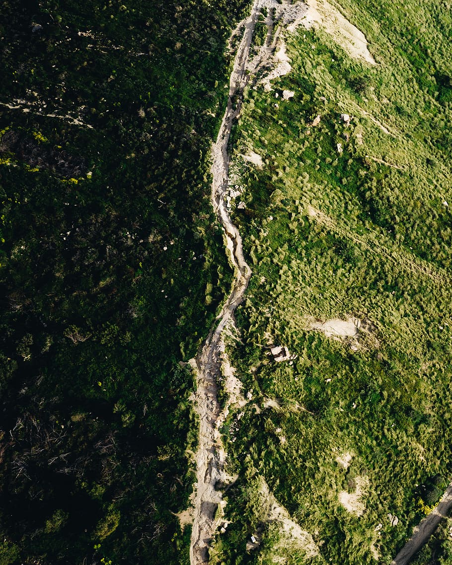 green trees on mountain, landscape, outdoors, scenery, vegetation HD wallpaper