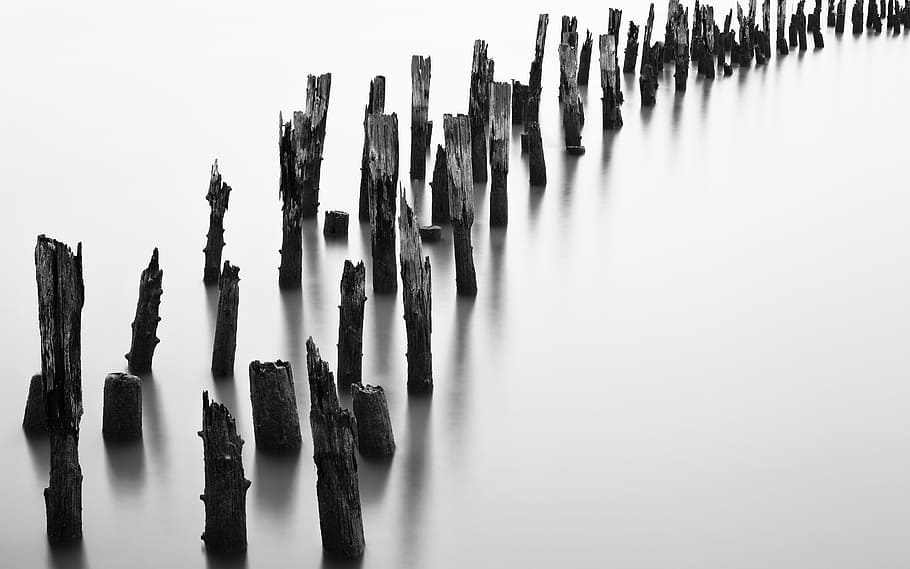 grayscale photo of wood trunks, water, post, pier, stack, mist HD wallpaper