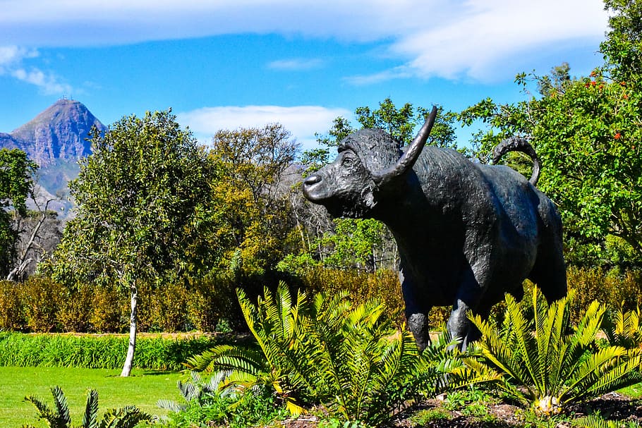 landscape, statue, buck, light, sky, nature, mood, scene, plant HD wallpaper
