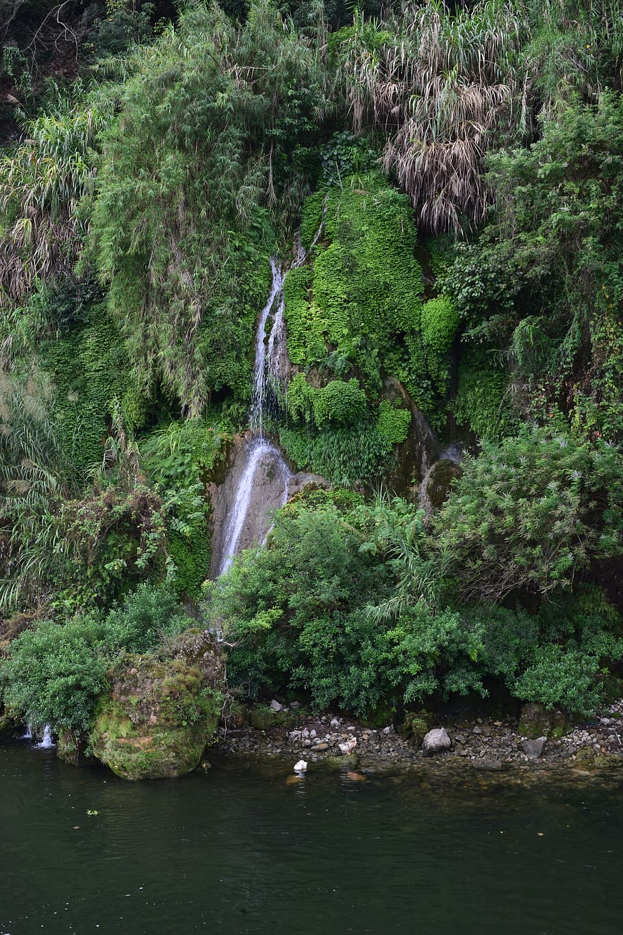 waterfalls, china, guilin shi, lijian gudong scenic area, flora HD wallpaper