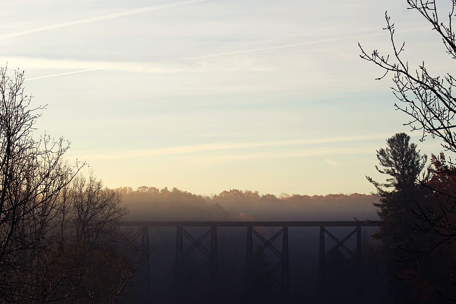 train bridge, train track, trees, plant, sky, sunset, nature HD wallpaper
