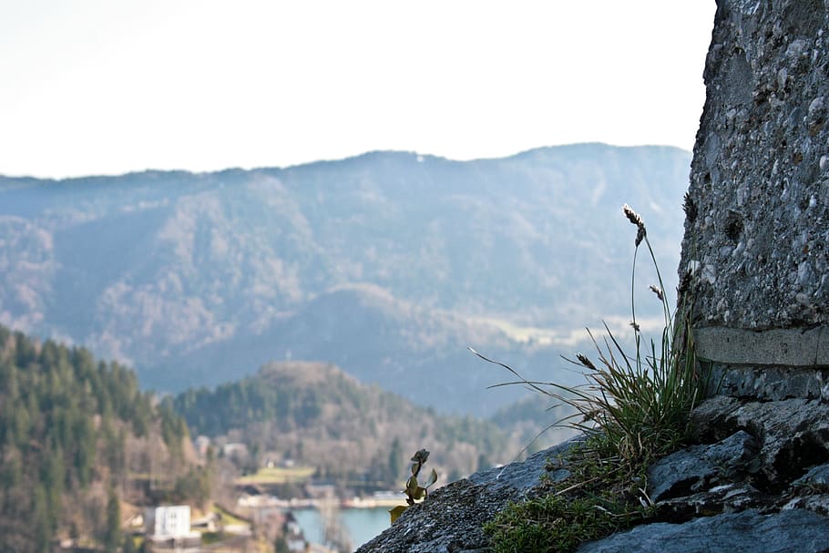 lake, grass, stone, rock, montain, mountain, nature, mountain range HD wallpaper