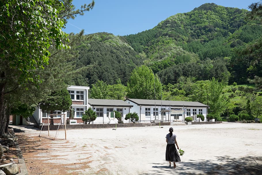 gangwon do, native, new picture, elementary school, summer, HD wallpaper