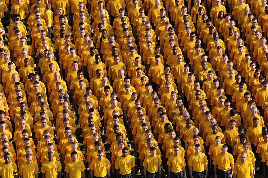 Group of Lining Men, attentive, audience, community, crowd, diversity HD wallpaper