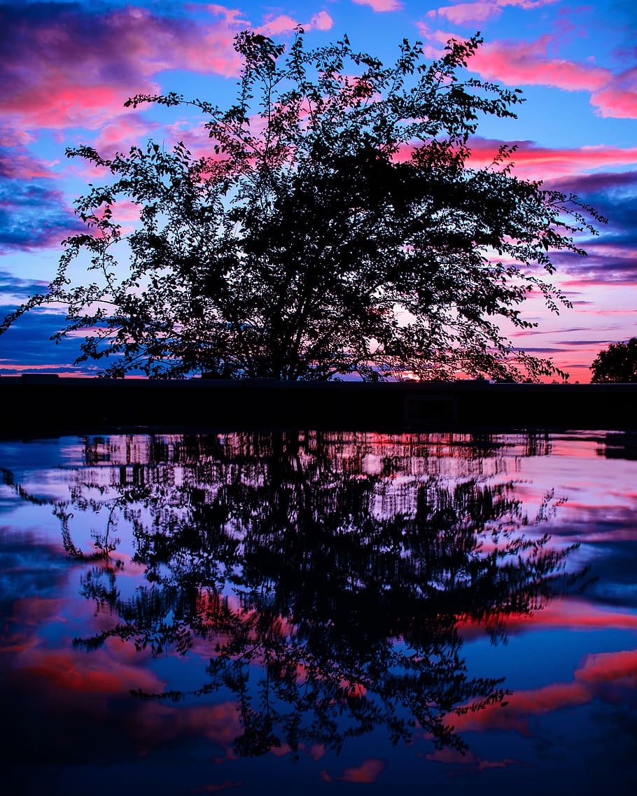 sunset, reflection, pool, water, nature, tree, sky, lake, plant HD wallpaper