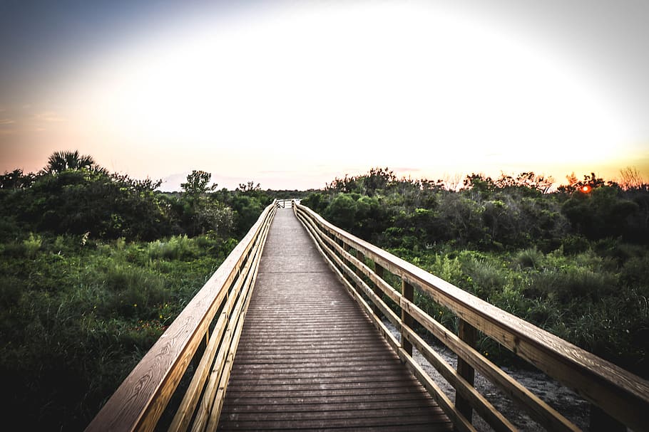 Wide Angle Photo of Brown Wooden Bridge, dawn, daylight, dusk HD wallpaper